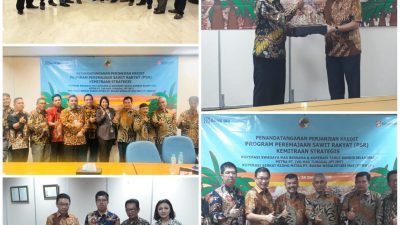 Peremajaan Sawit Rakyat, Dua Koperasi Ini Lakukan Penandatanganan MOU *Antara Bank BRI Dan PT. Sinar Mas