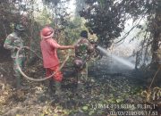 Tiga Hektare Lahan Terbakar Berhasil di Padamkan