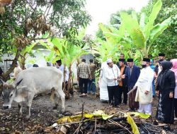 Plh Bupati Bengkalis Tinjau Pemotongan Hewan Kurban