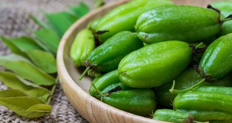 Khasiat Belimbing Wuluh Meredakan Batuk, Mengobati Sakit Gigi Hingga Ringankan Nyeri Otot