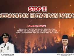 Pemkab Rohil:Stop!!! Kebakaran Hutan Dan Lahan