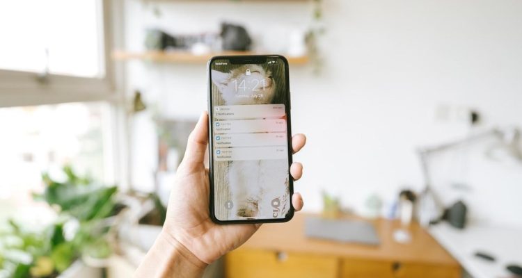 8 HP Vivo Terbaru 2023, Lengkap dengan Harga dan Spesifikasinya!