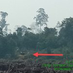 IMG-20231004-WA0018