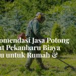 jasa potong rumput pekanbaru riau