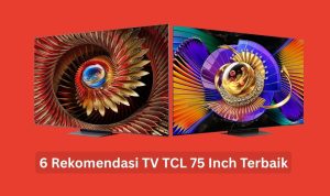 TV TCL 75 Inch