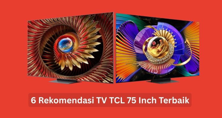 TV TCL 75 Inch